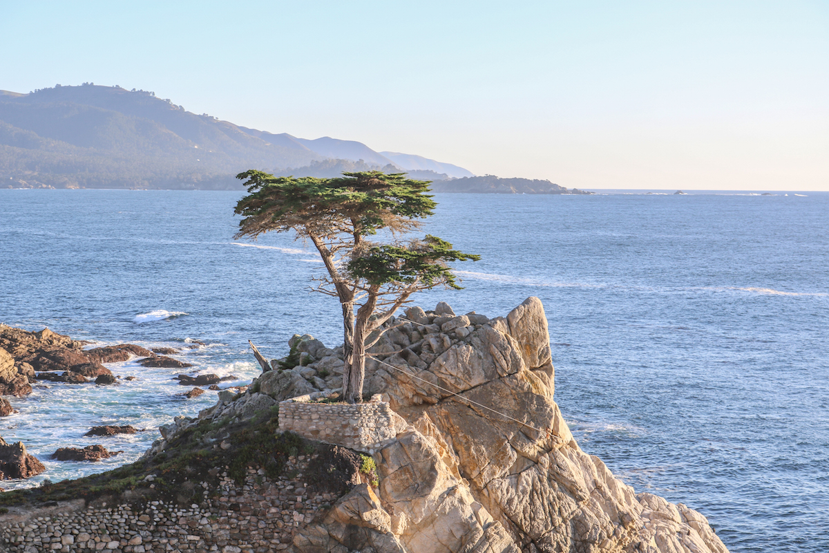 100 Years Of Pebble Beach 17 Mile Drive Links Magazine The Lone Cypress At Pebble Beach Courtesy Of Company