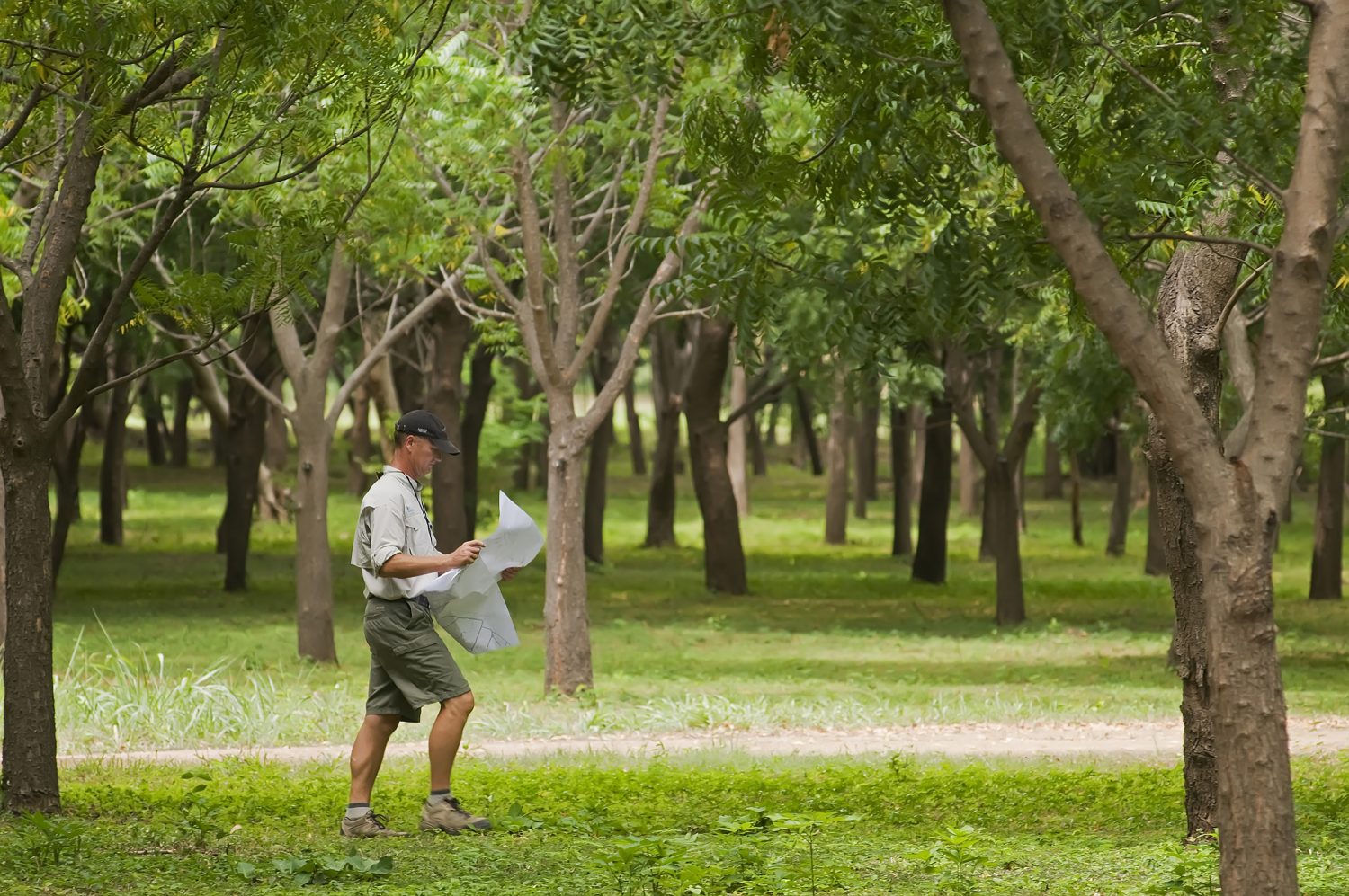 Golf Course Architect - David McLay Kidd