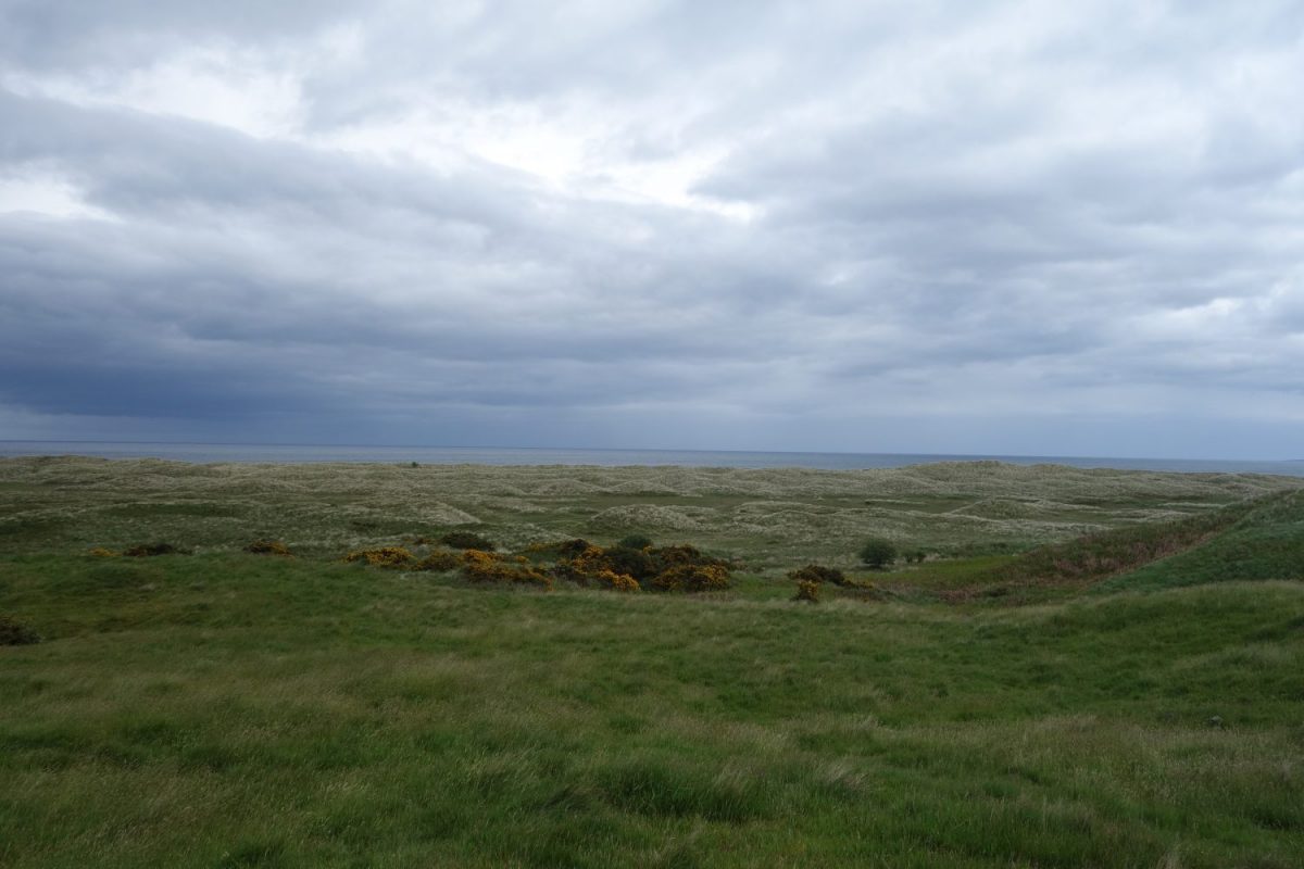 Coul Links