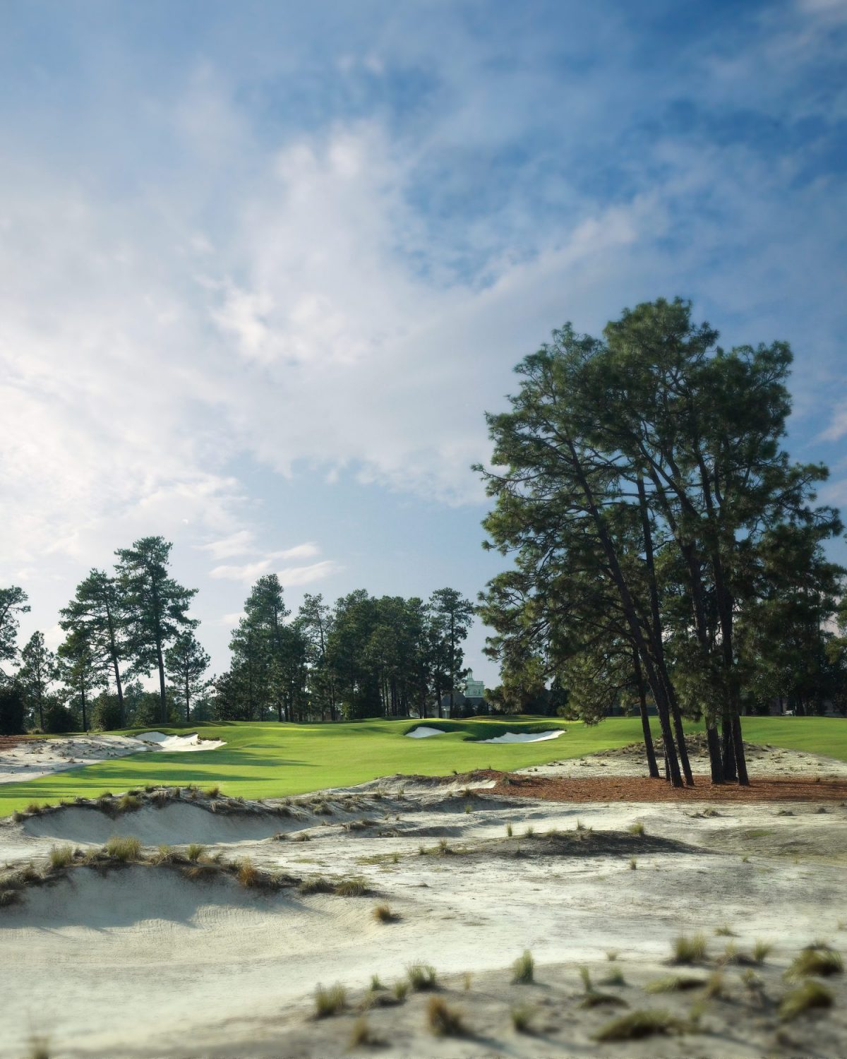 Ultimate Golf Trip - Pinehurst No. 2
