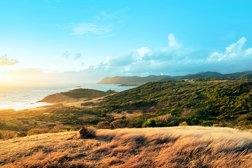 Cabot St. Lucia