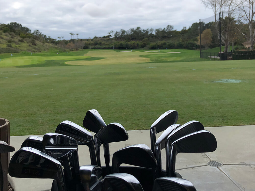 The TaylorMade Kingdom
