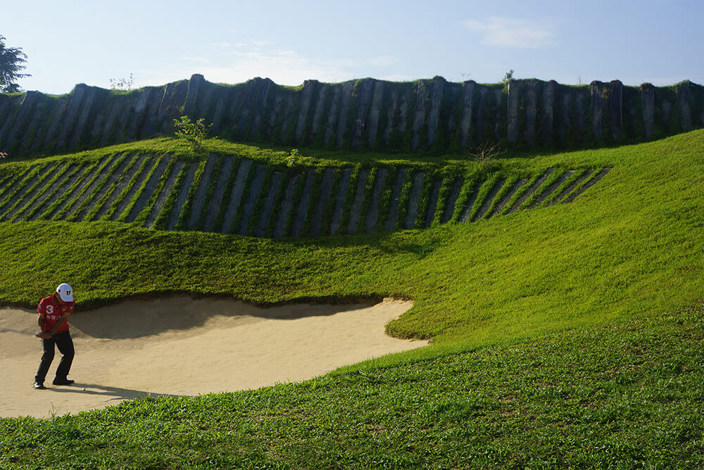 Must-See Features on Courses