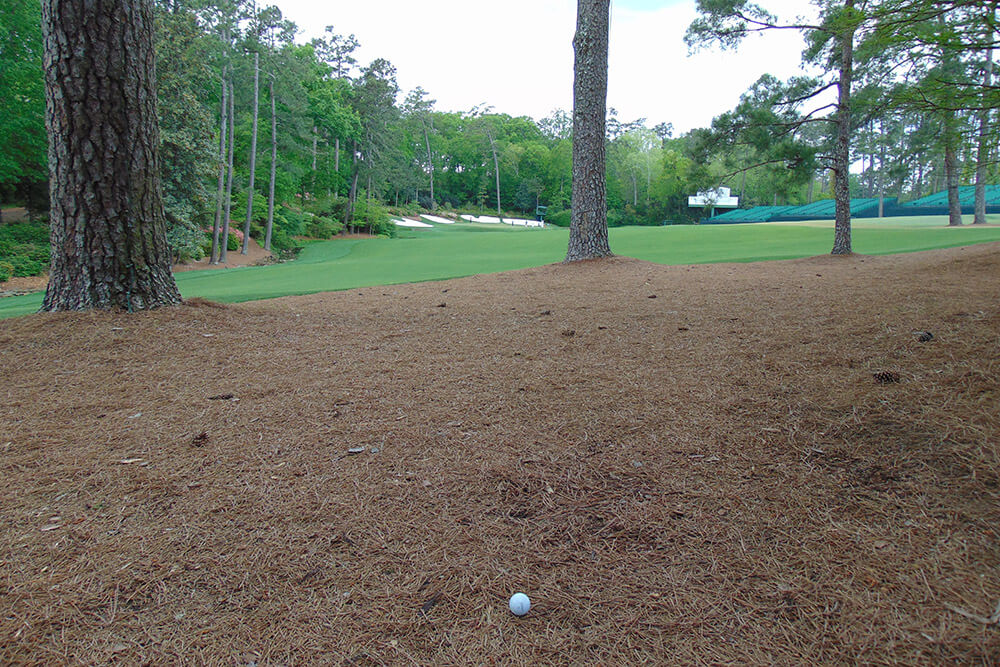 Dream Nine: Par Fives