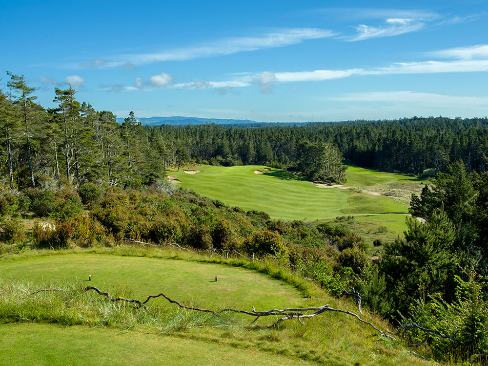 Golf's Polarizing Par Fours
