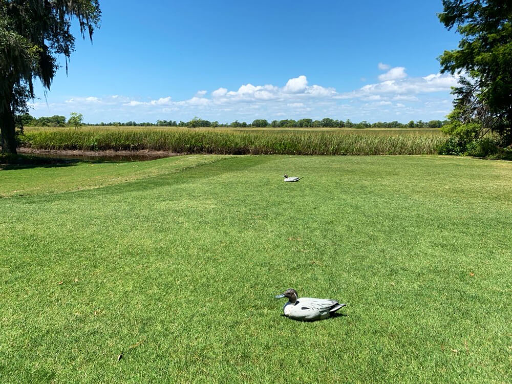 Caledonia Golf