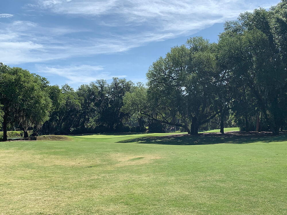 Caledonia Golf