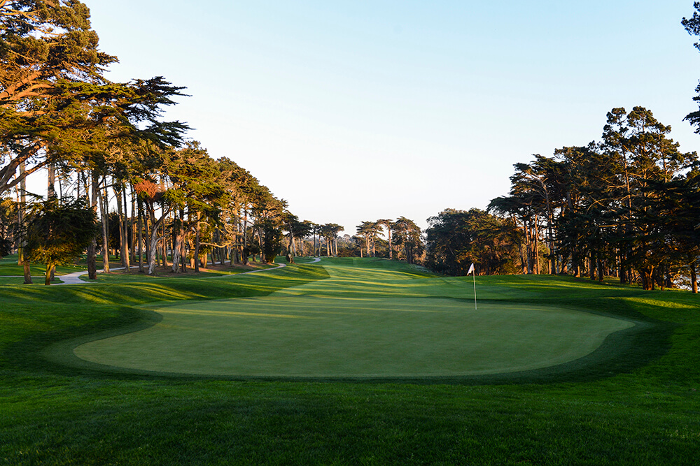 TPC Harding Park