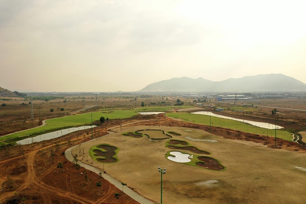 New Courses