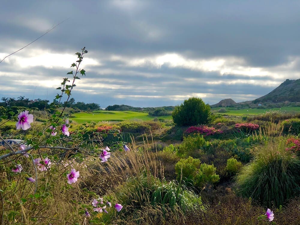 Par-3 Courses