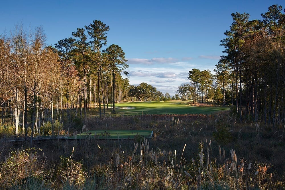 congaree