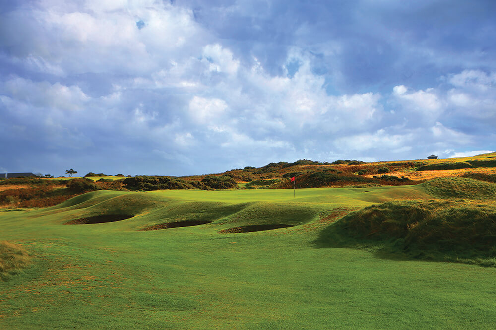 links courses