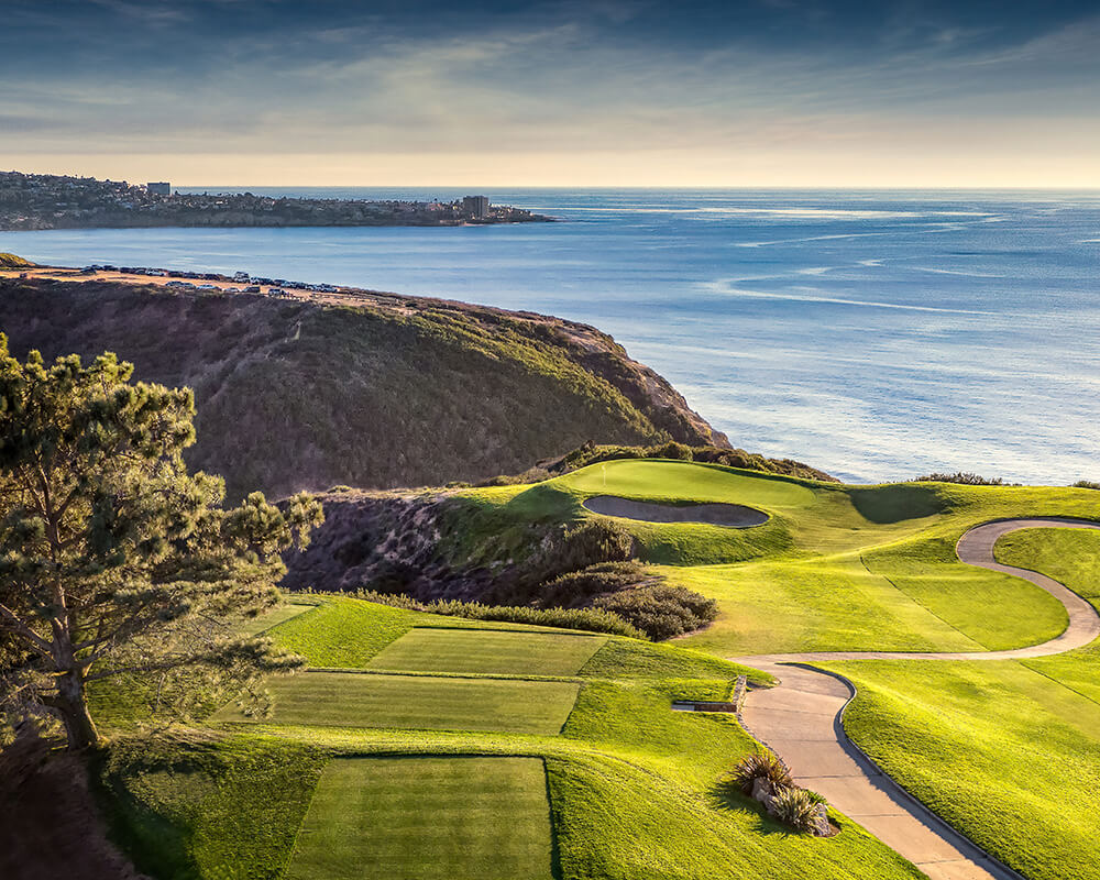 u.s. open torrey pines