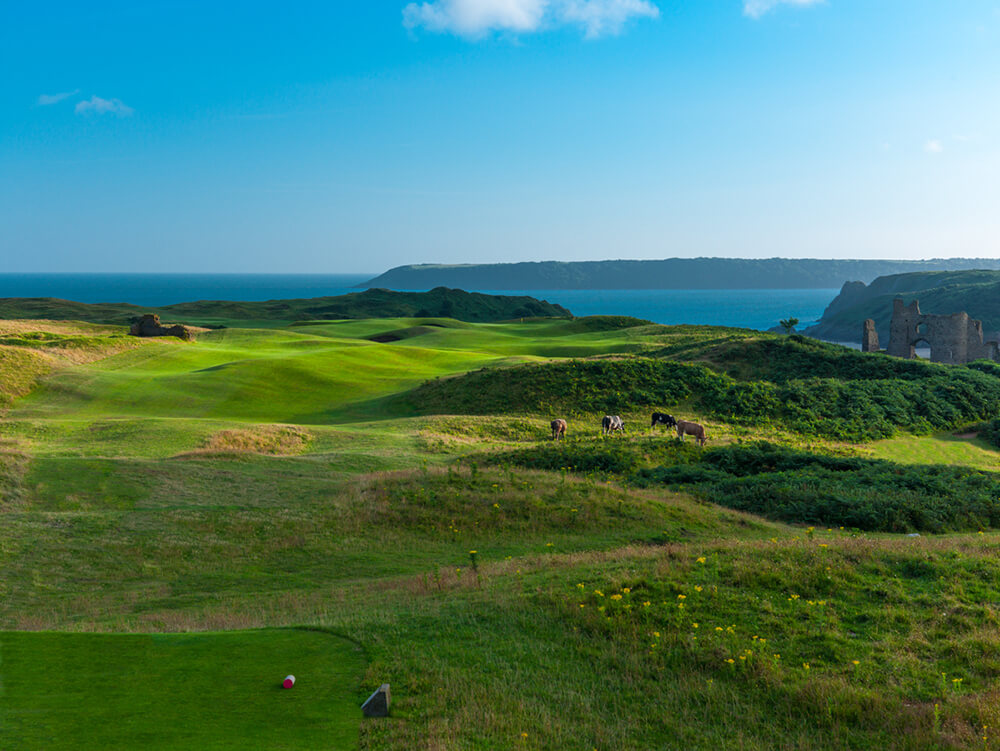wales golf