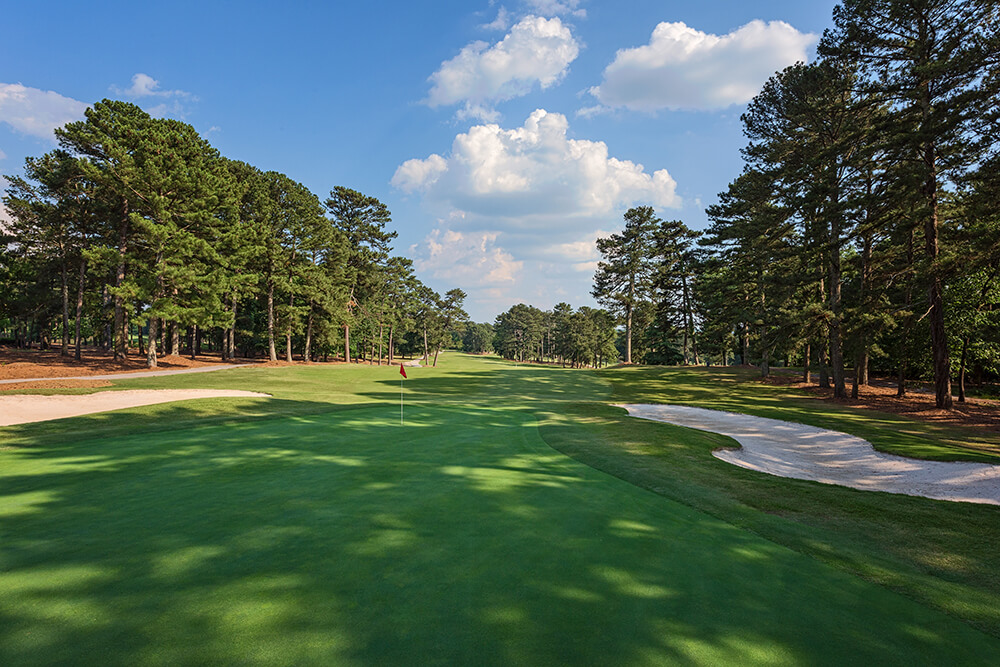stone mountain