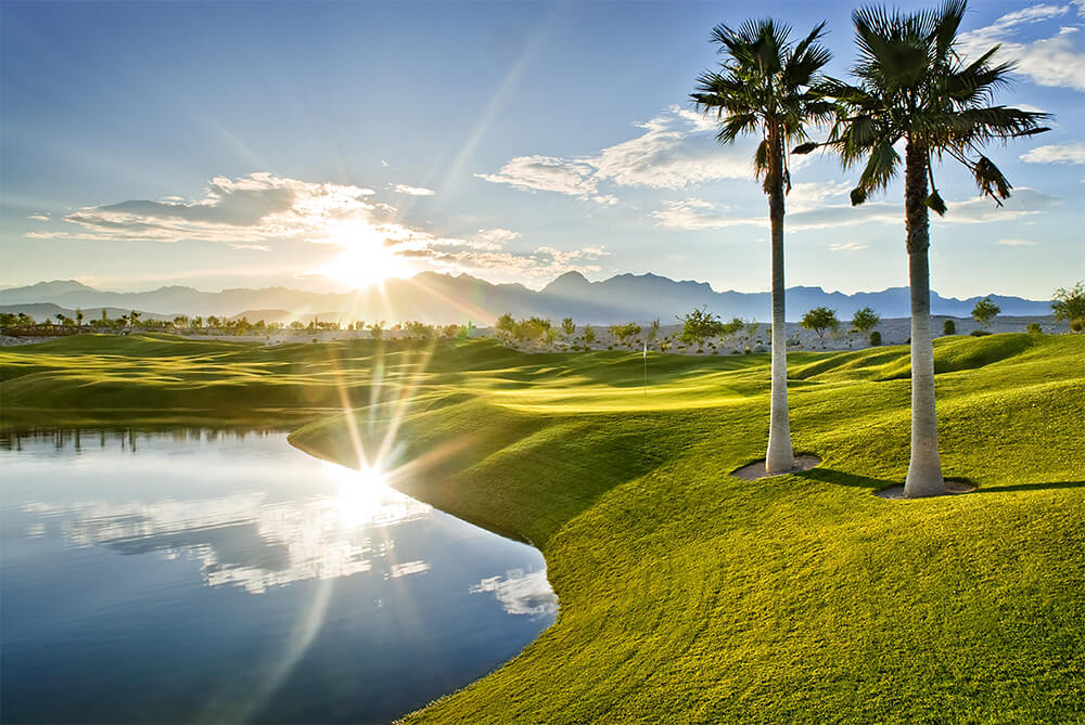 coyote springs