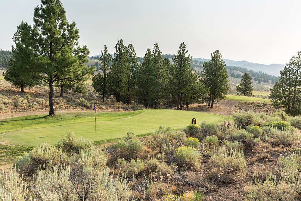 unconventional courses