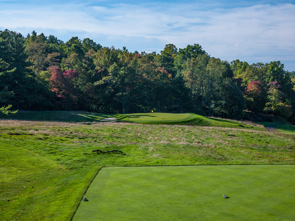 roaring gap