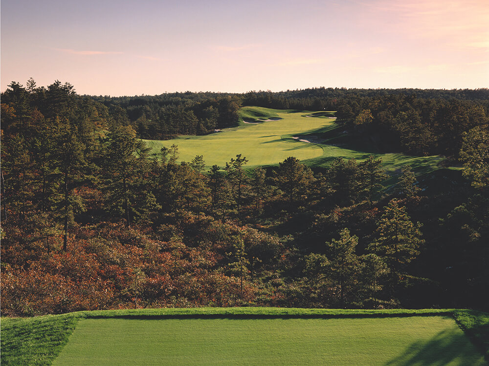 pinehills