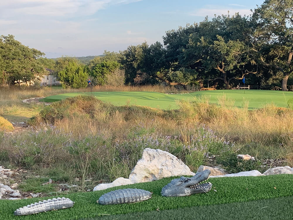 backyard golf