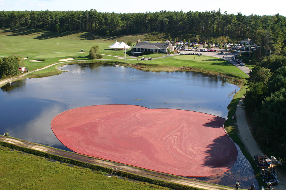 plymouth golf