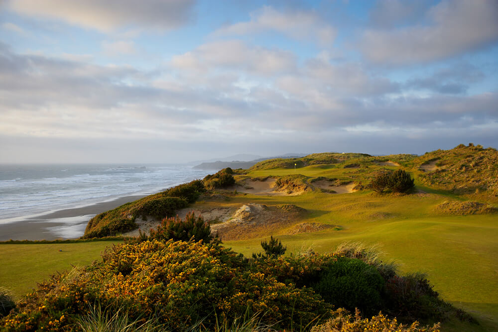 pacific dunes