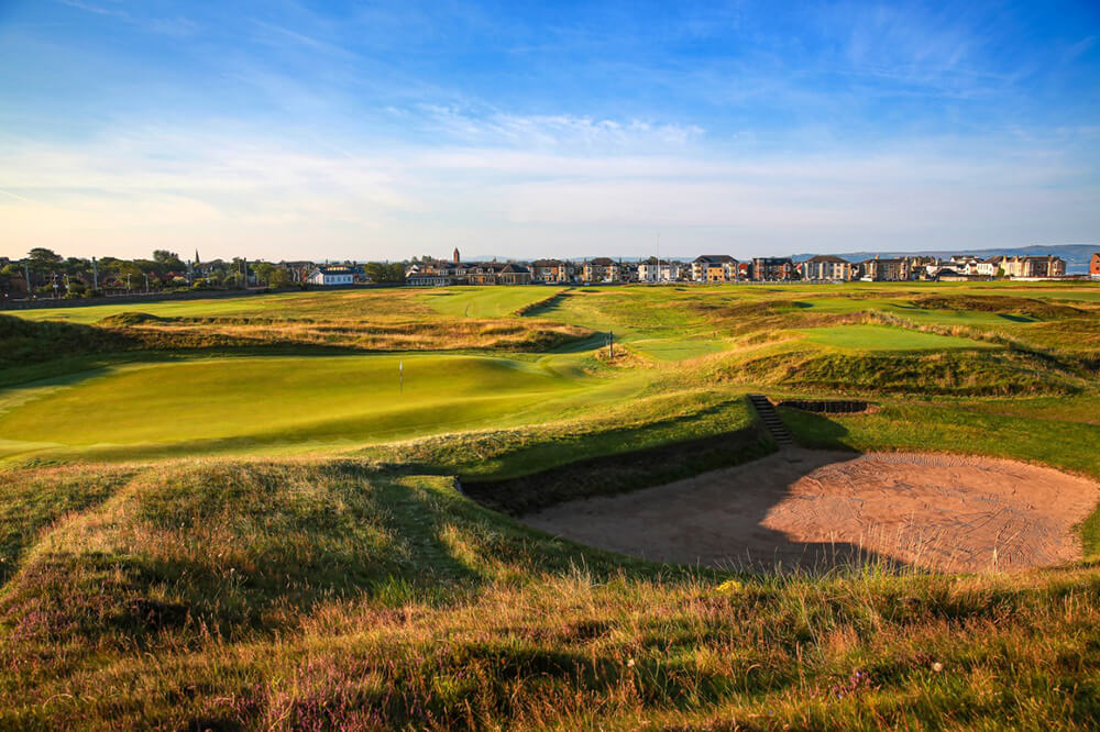 quirkiest courses