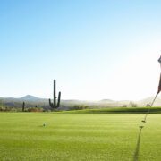 pin putt