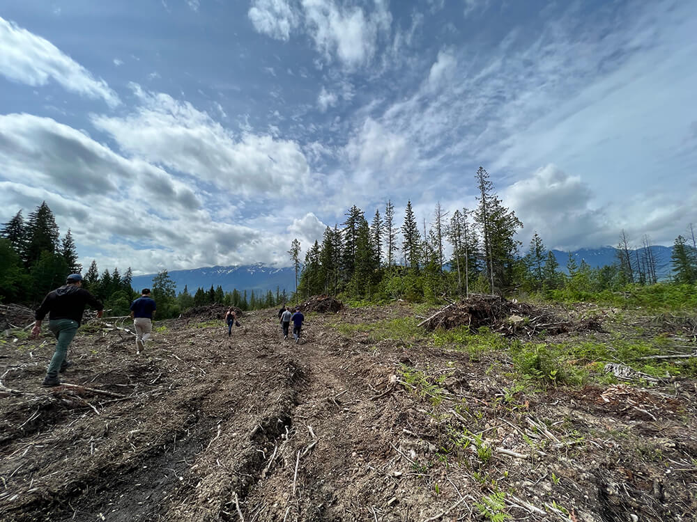 revelstoke