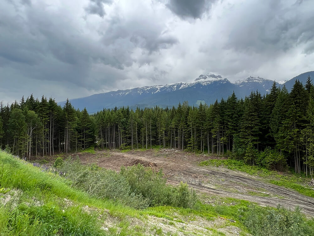 revelstoke