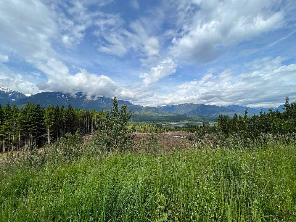 revelstoke