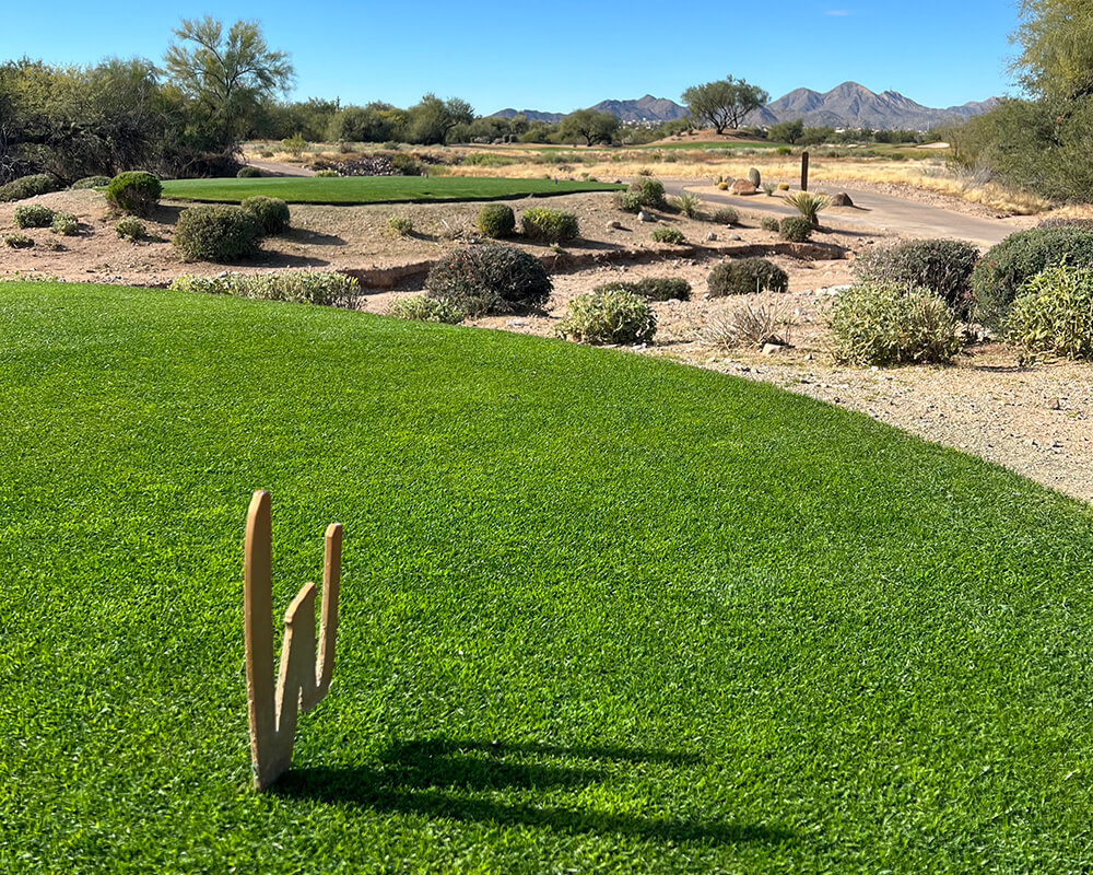 tee box