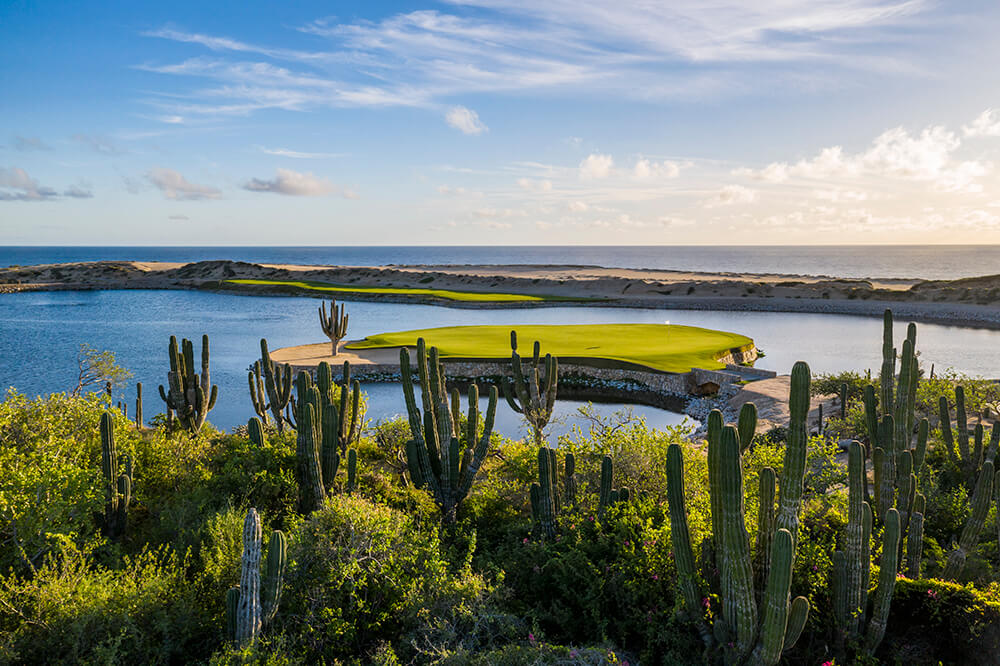 mexico courses
