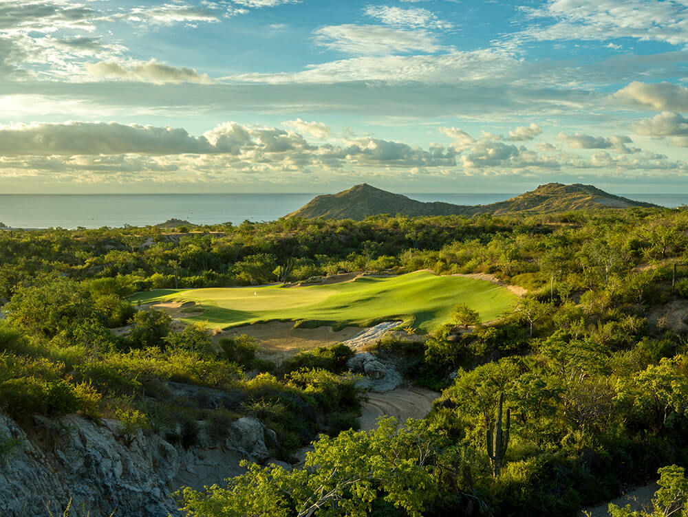mexico courses